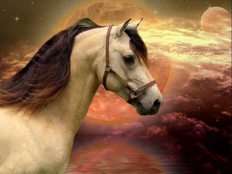 White Horse with Dark Mane