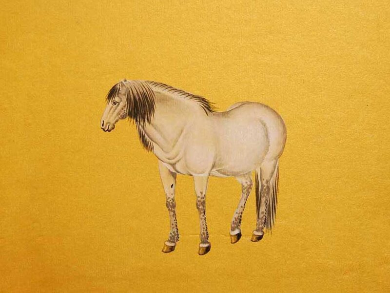 White Horse with Dark Mane — Yellow