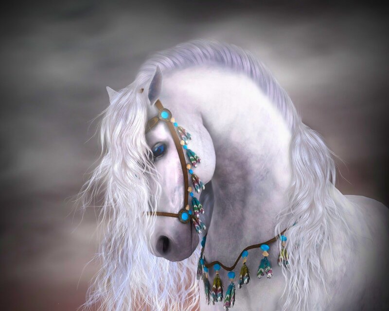 white horse with decorative bridle