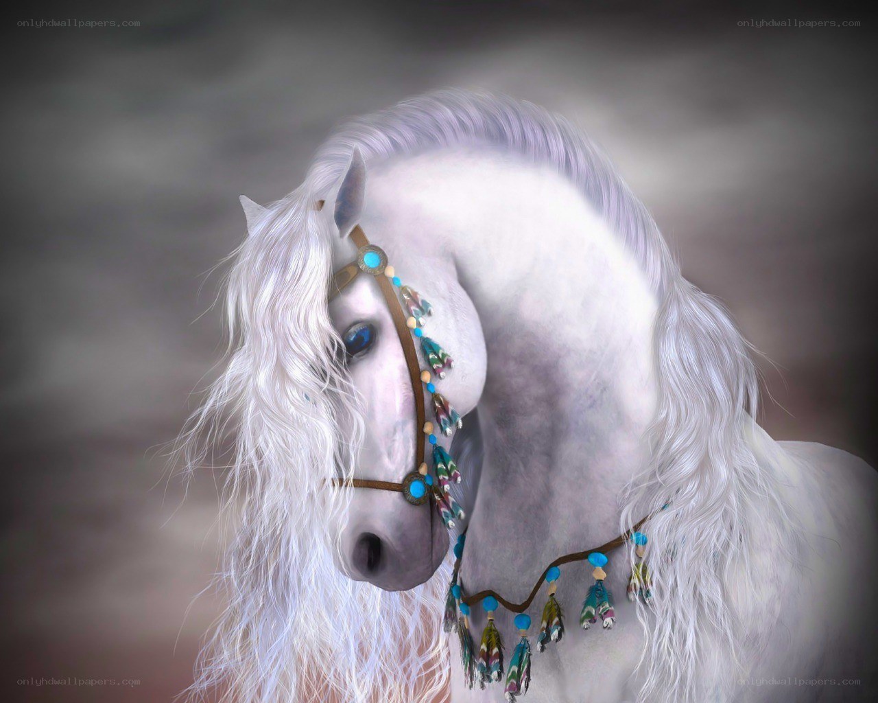 white horse with decorative bridle