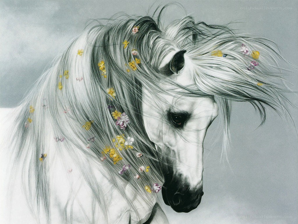 white horse with flowers