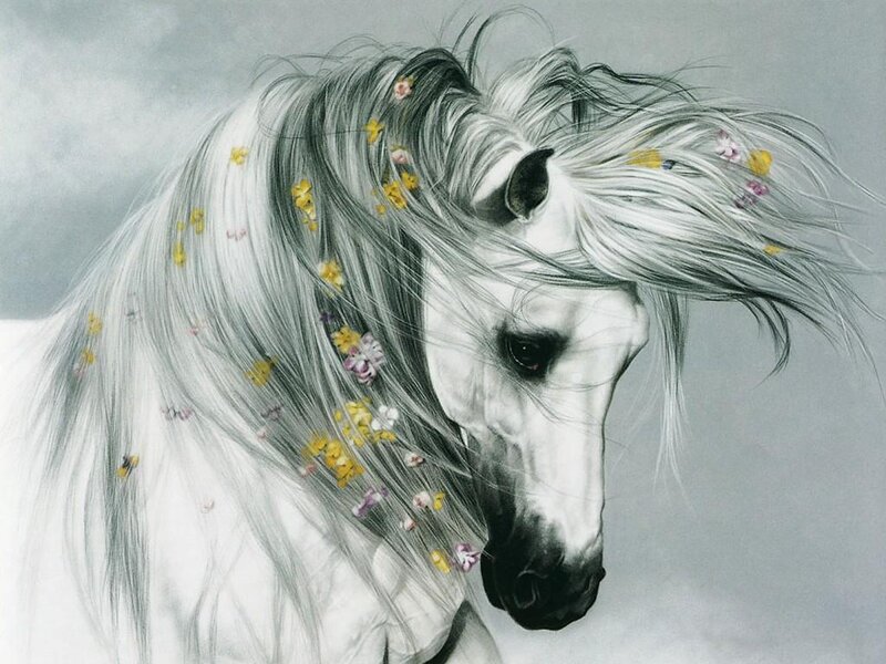 White horse with flowers in mane