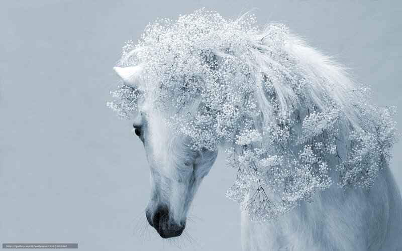 White Horse with Flowers — Serene, Digital Art