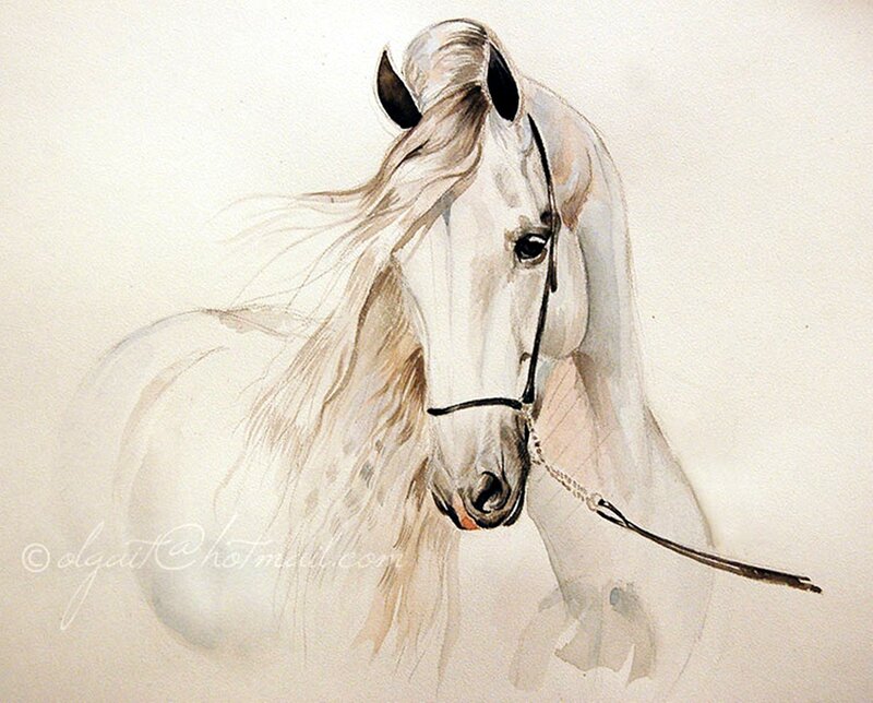 White Horse with Flowing Mane — Calm, Illustration