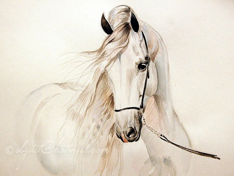 White Horse with Flowing Mane — Calm, Painting
