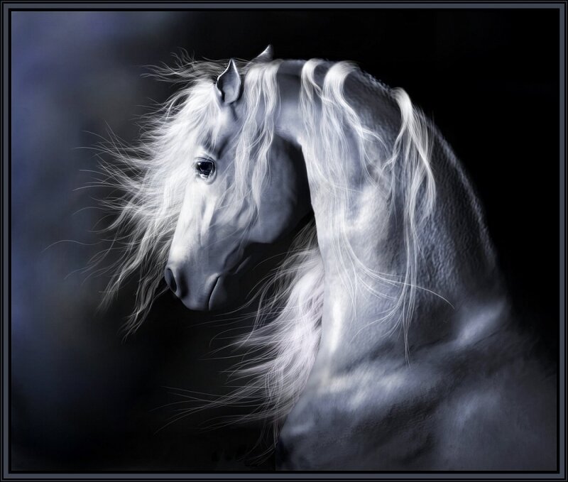 White Horse with Flowing Mane — Dramatic, Digital Art