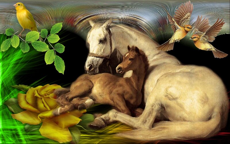 White Horse with Foal