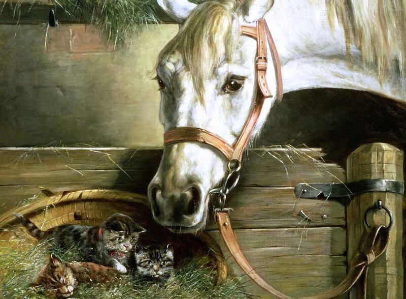 White Horse with Kittens