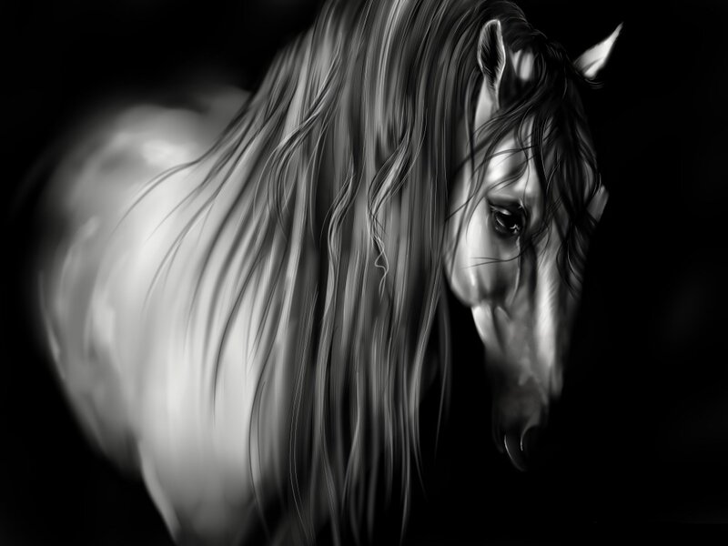 White Horse with Long Mane — Black, Dramatic, Digital Art
