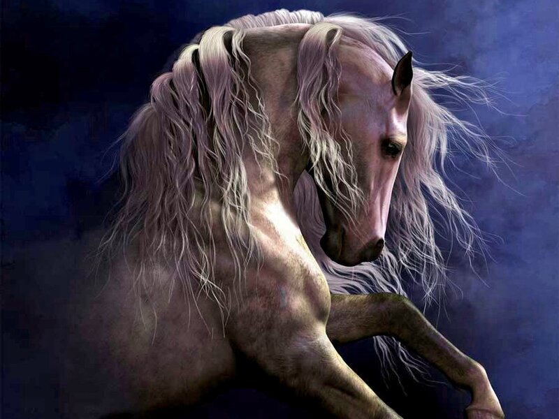 White Horse with Long Mane — Dramatic, Night