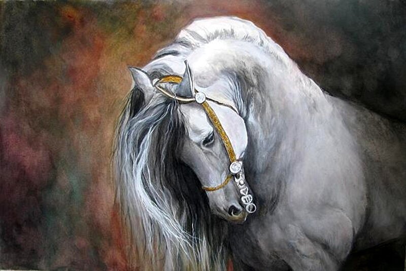 White Horse with Long Mane — Gray