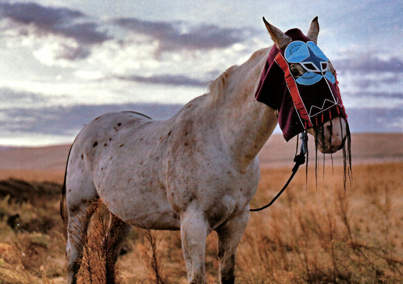 White Horse with Mask