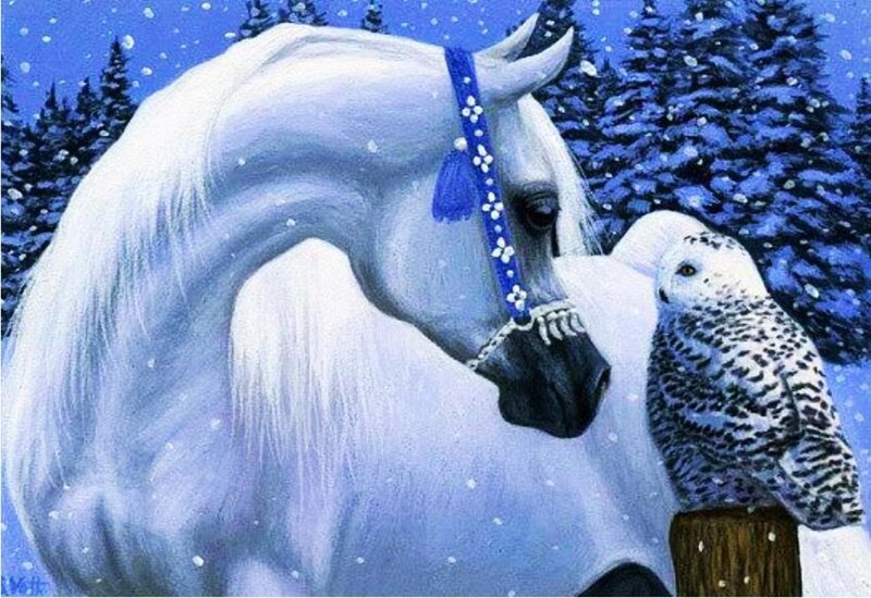 White Horse with Owl