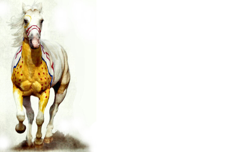 White Horse with Paint