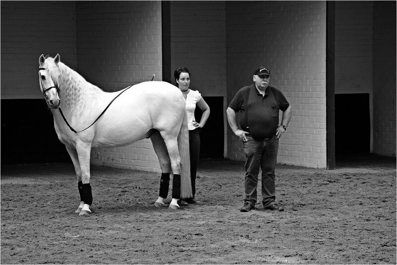 White Horse with Two People