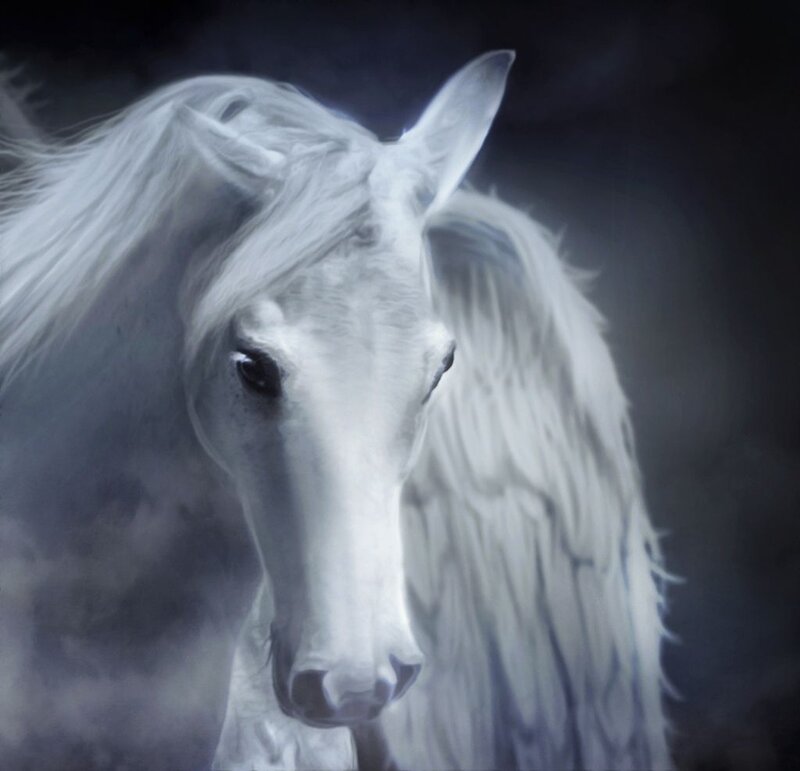 White Horse with Wings
