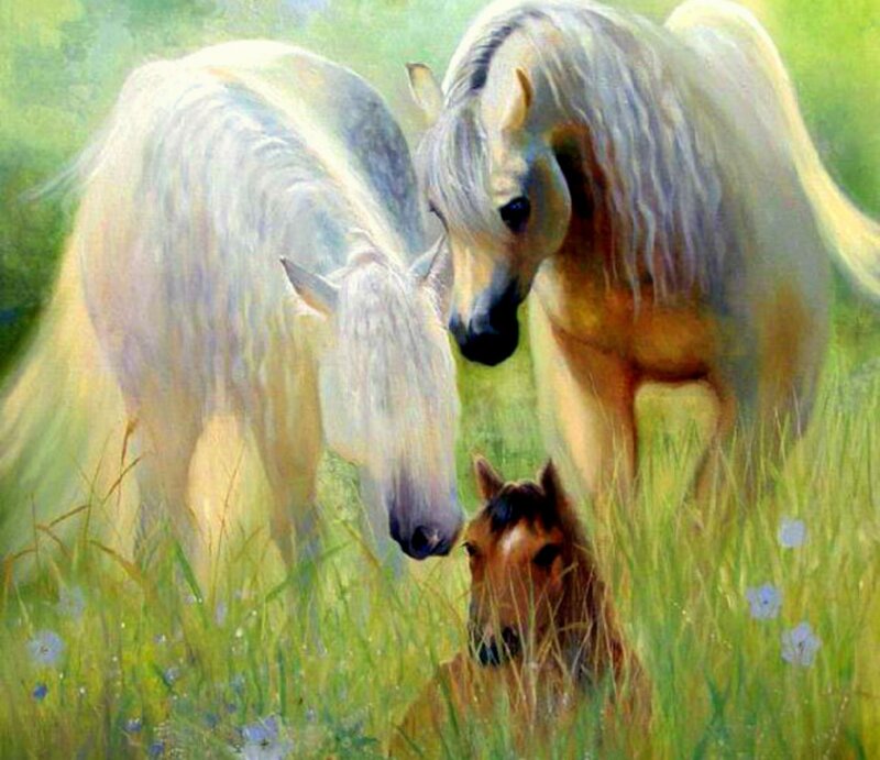 White Horses and Foal
