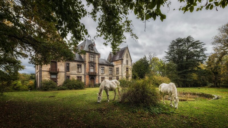 White Horses Grazing — Green