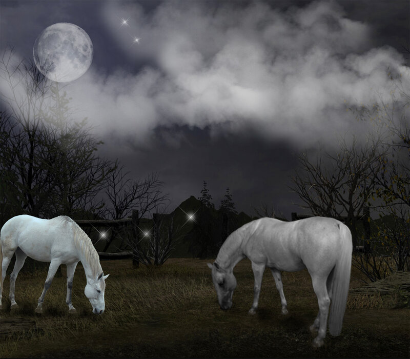 White Horses Grazing