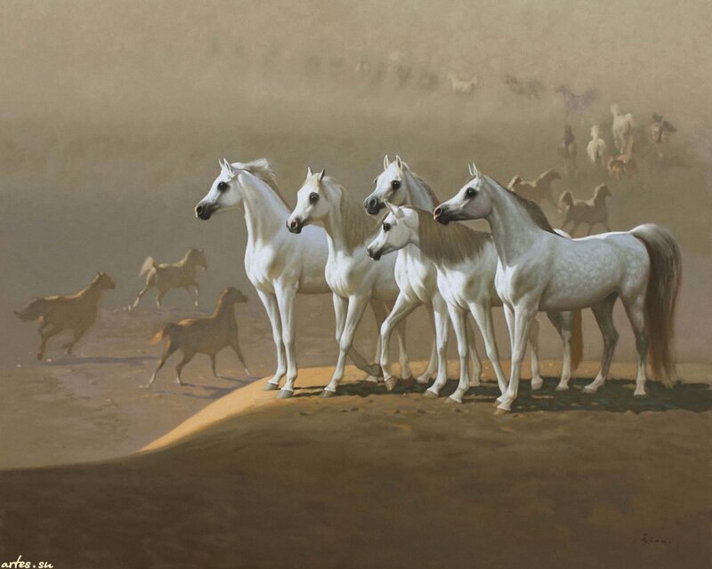 White Horses in Desert