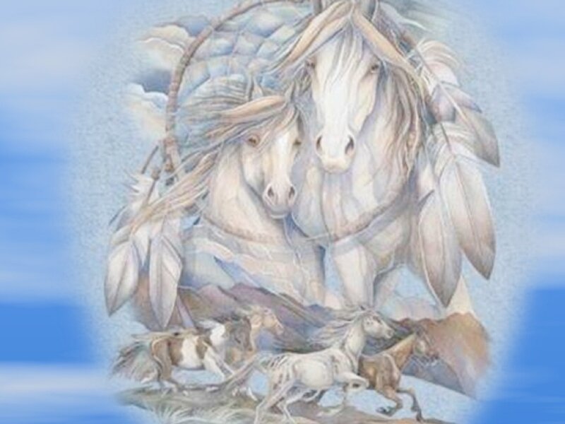 white horses in dreamcatcher