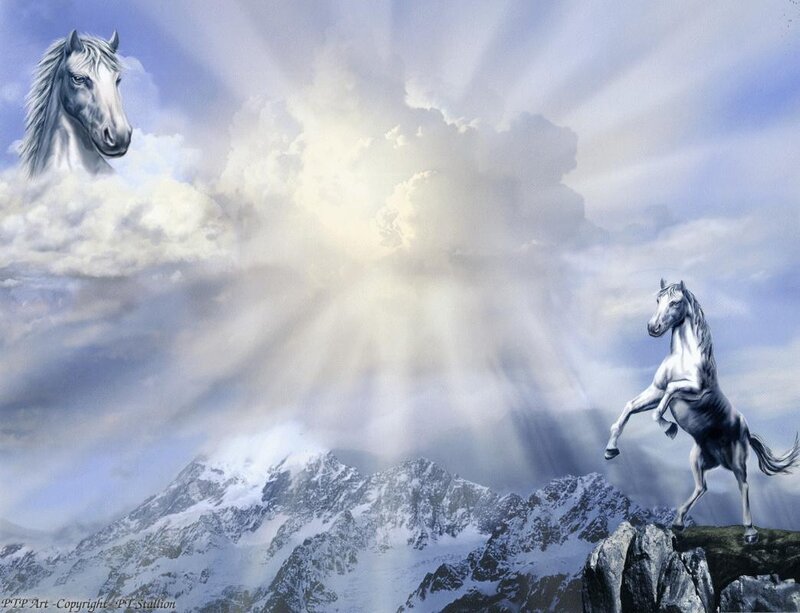 White horses on a mountain