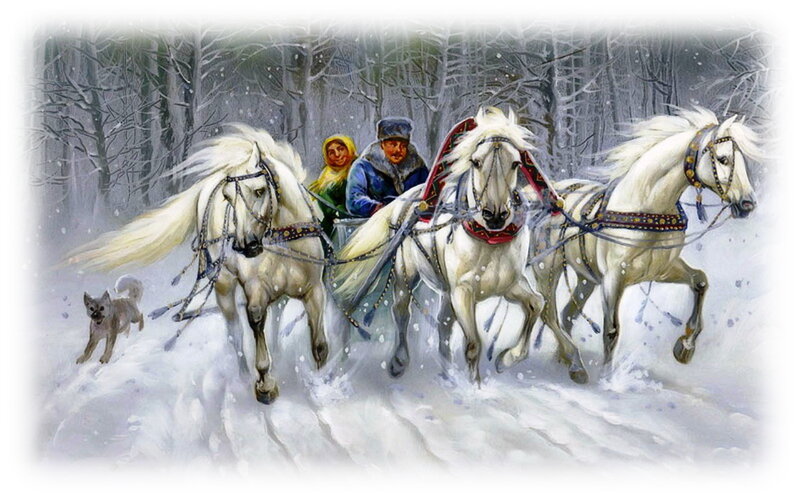 White Horses Pulling Sleigh — Cold