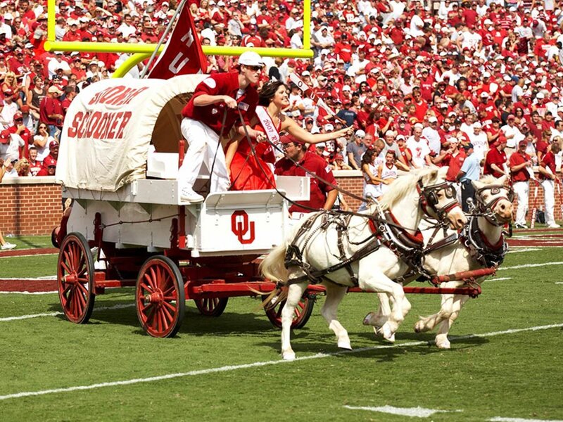 White Horses Pulling Wagon