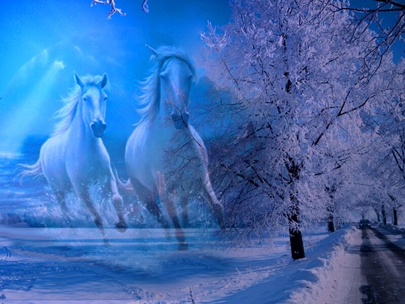 White Horses Running — Blue, Dramatic, Winter, Digital Art, Snow