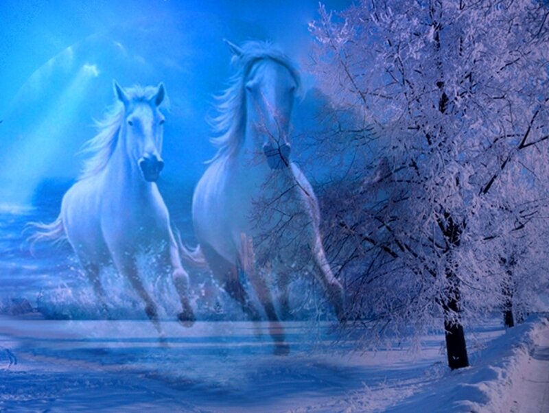 White Horses Running — Blue, Dramatic, Winter, Digital Art, Snow, Trees
