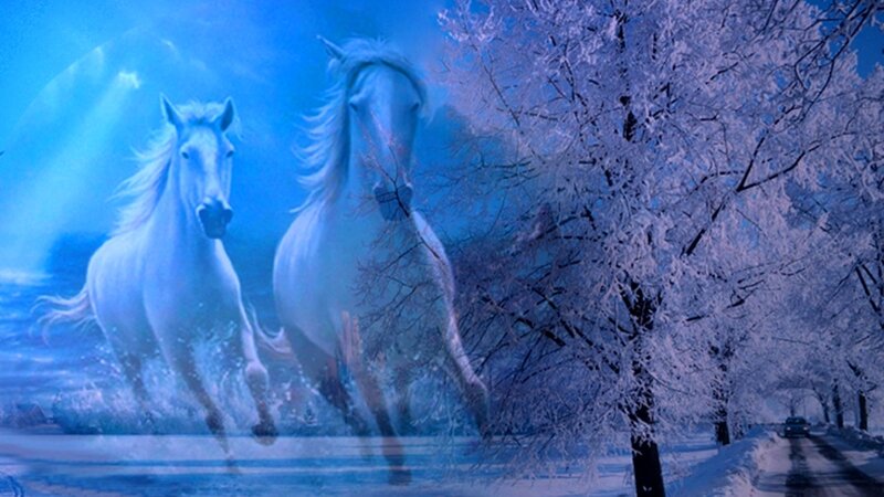 White Horses Running — Blue, Dramatic, Winter, Digital Art