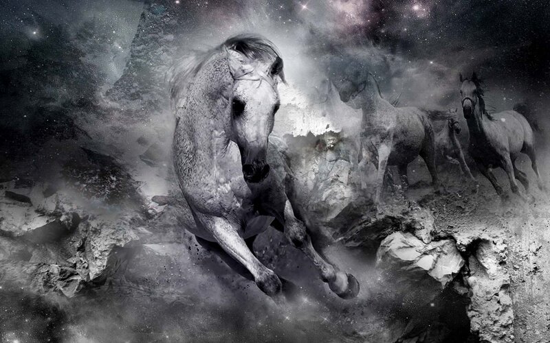 White Horses Running — Gray, Dramatic, Night