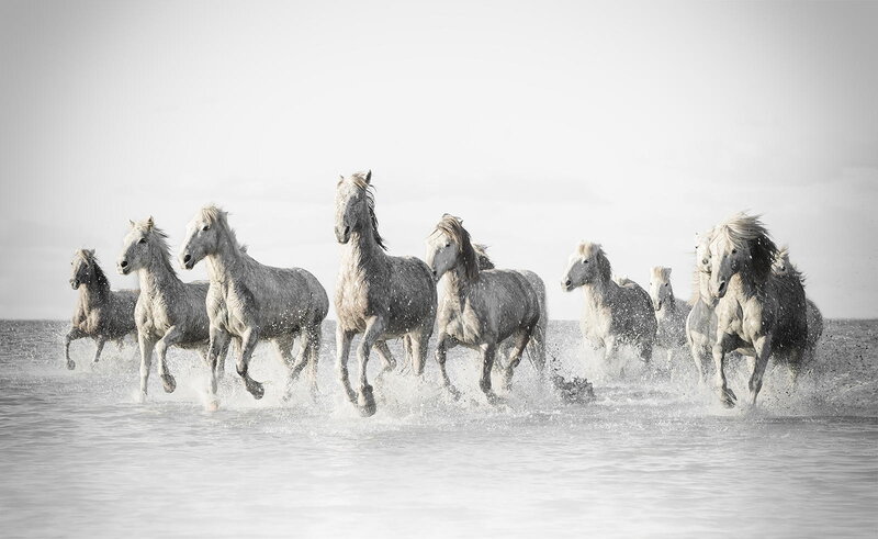 White Horses Running — Gray, Dynamic, Photograph, Water, Sky