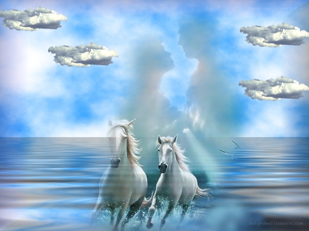 White horses running on water