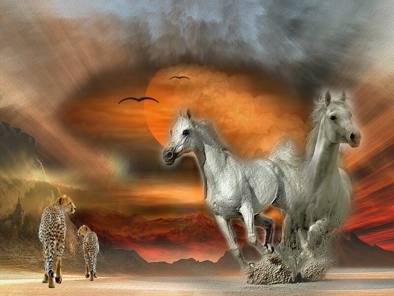 White Horses Running — Orange, Dramatic, Sunset