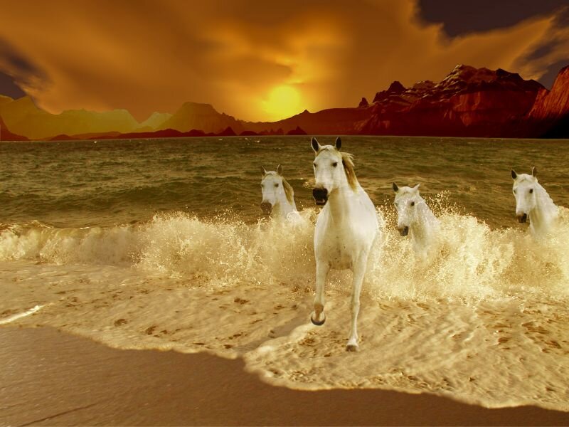 White Horses Running — Orange