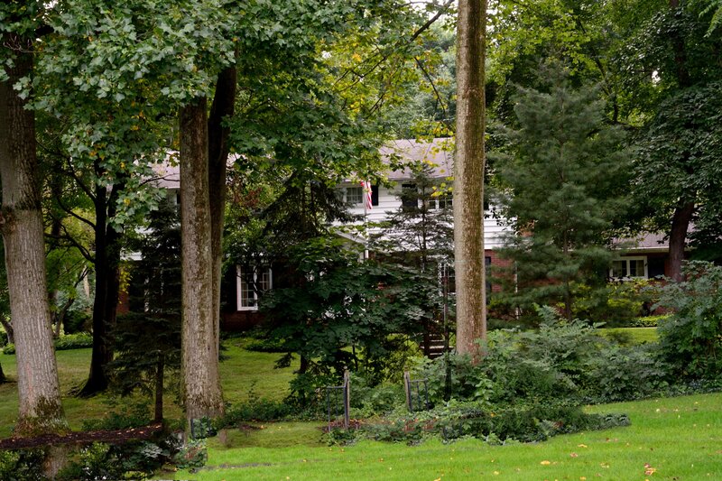 White House Behind Trees
