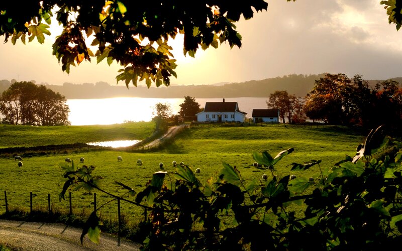 White House by Lake — Green, Serene, Sunset
