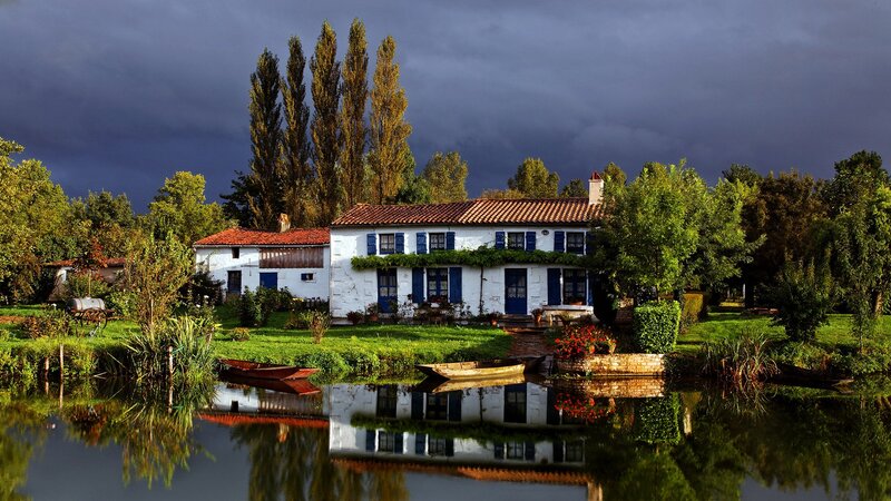 White House by Pond — Green, Dramatic, Afternoon