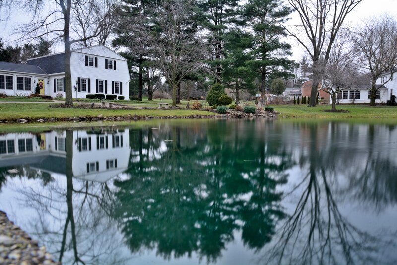 White House by Pond — Green
