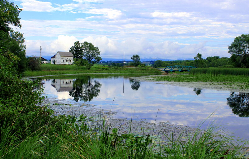 White House by Pond
