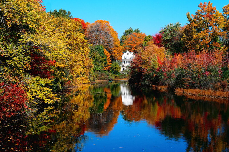 White House by River — Blue, Serene