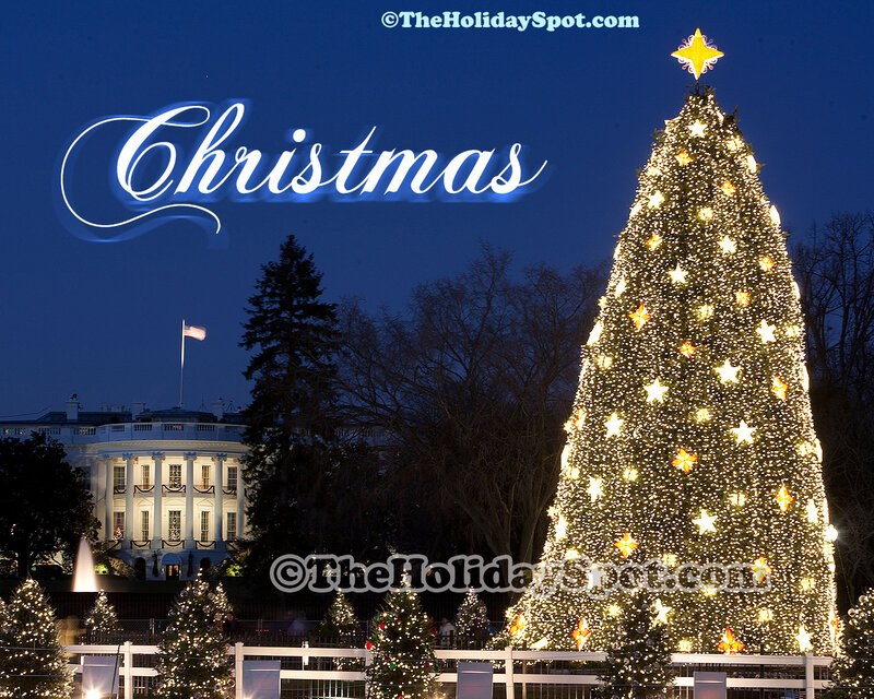 White House Christmas Tree — Blue, Festive