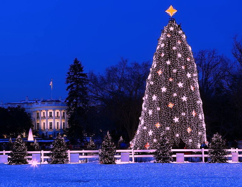 White House Christmas Tree — Blue