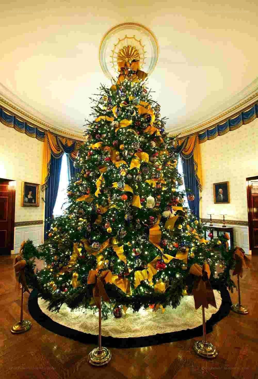 White House Christmas tree