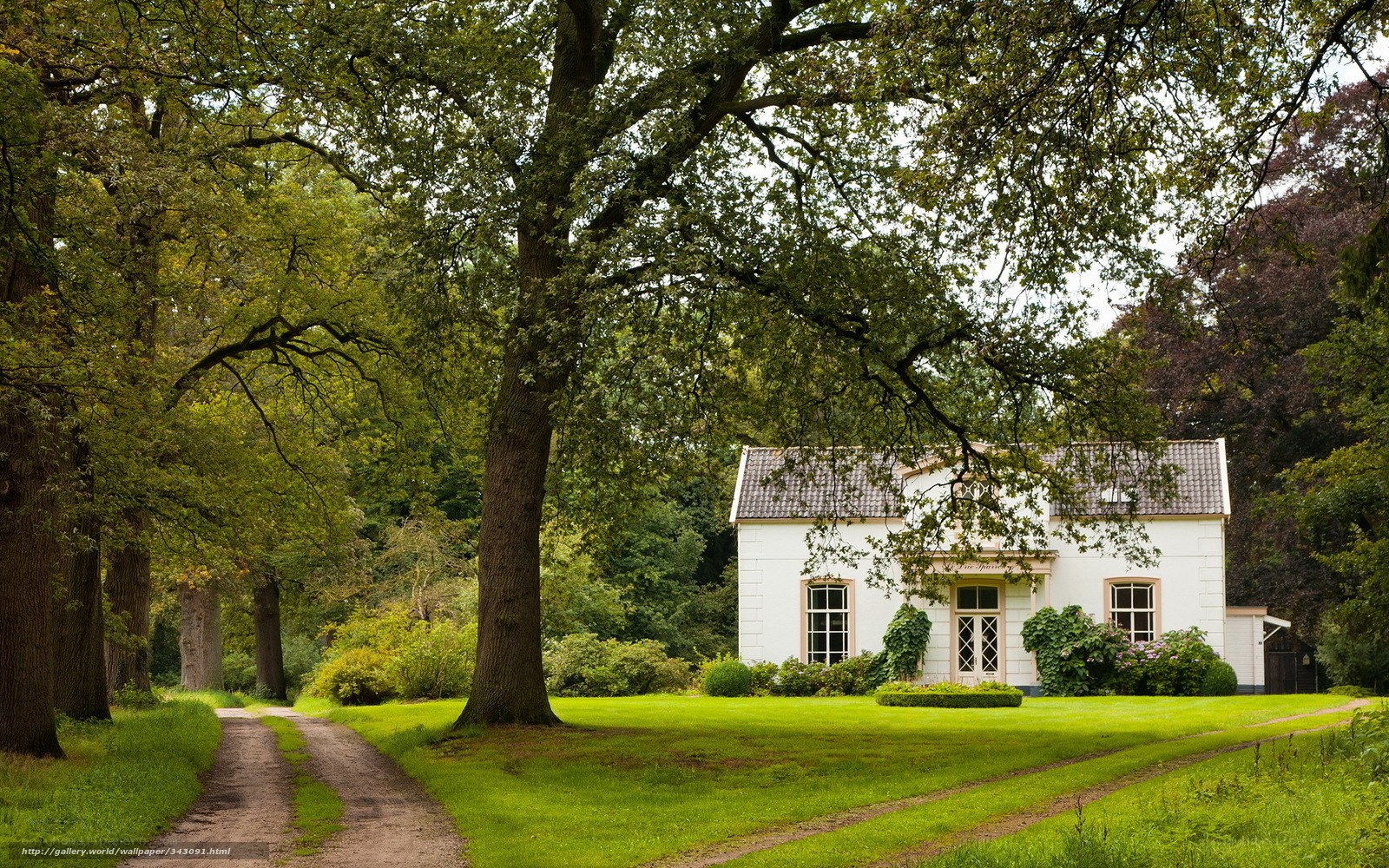 White house in a green park