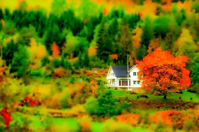 White House in Autumn — Green