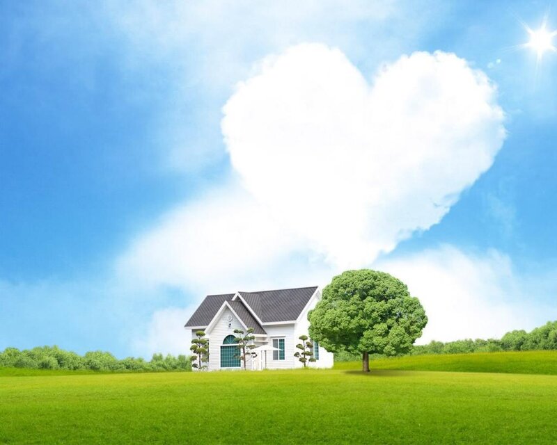 White House in Field