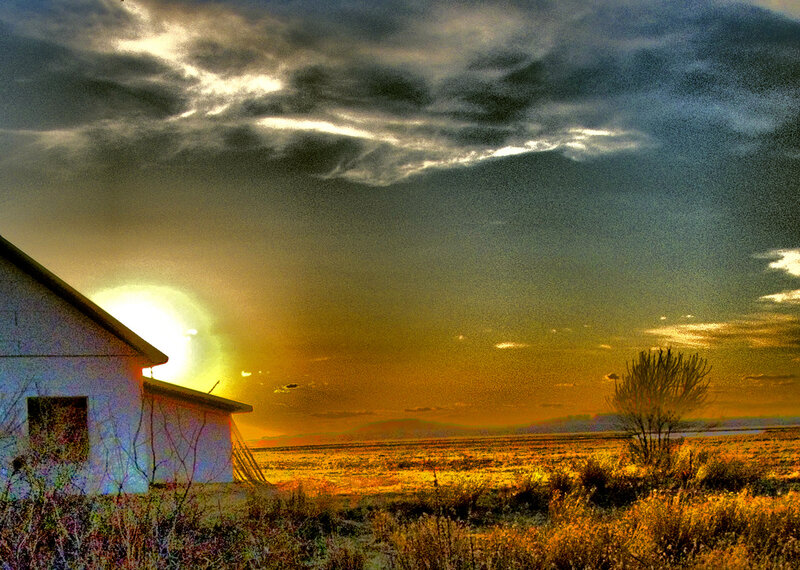 White House in Field — Yellow