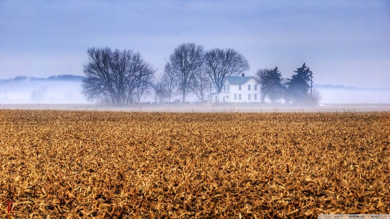 White House in Fog — Brown